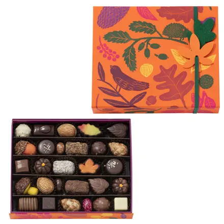Grande boite chocolats d'automne - 400 g